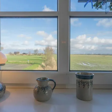 Friesenhaushaelfte Suederoog